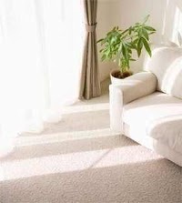 DTE Carpet and Upholstery Cleaning Solutions 359637 Image 0